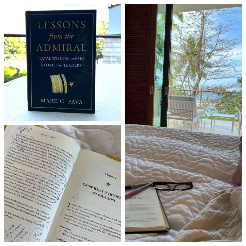 The book Lessons from the Admiral by Mark C Fava