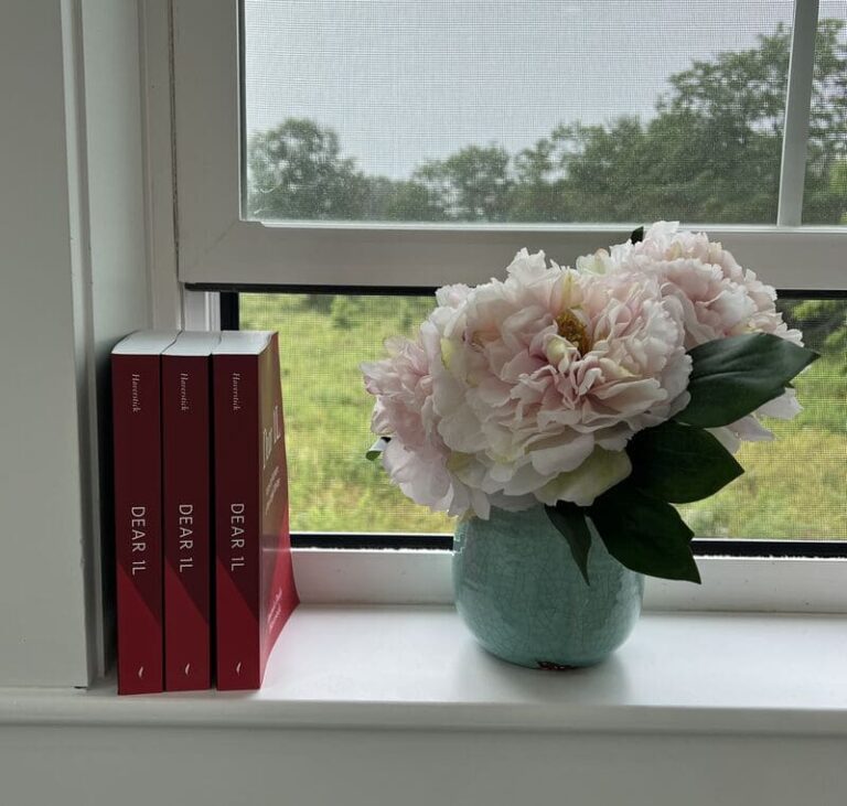 Dear1L book and flowers in a window